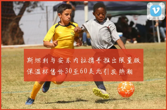 斯坦利与安东内拉携手推出限量版保温杯售价30至60美元引发热潮