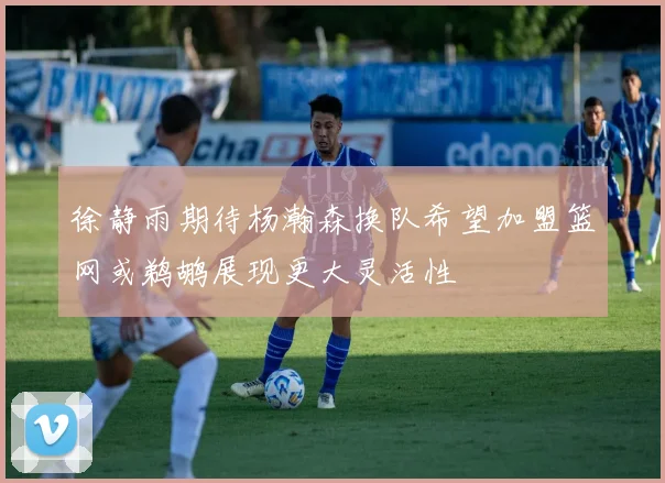 徐静雨期待杨瀚森换队希望加盟篮网或鹈鹕展现更大灵活性